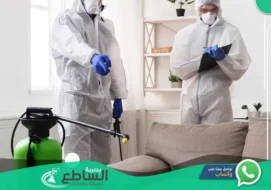 شركة مكافحة النمل الأبيض بخميس مشيط | 0557997714 | إبادة نهائية بالضمان