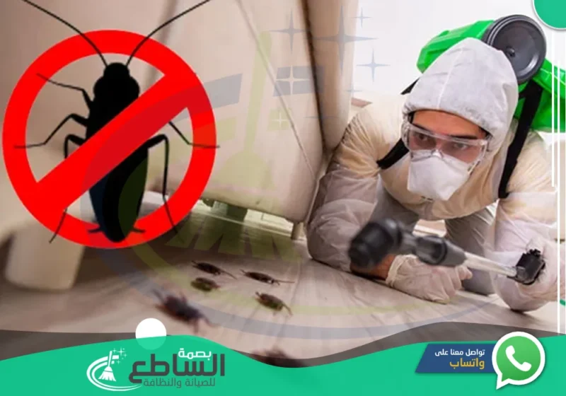 شركة مكافحة صراصير بخميس مشيط | 0557997714 | رش مبيدات