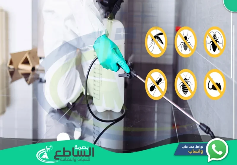 شركة مكافحة حشرات في تندحة | 0557997714 | ابادة قوارض وحشرات