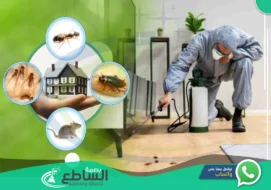 شركة رش مبيدات بابها | 0557997714 | مكافحة حشرات