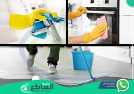 شركة تنظيف منازل بابها | 0557997714 | عمالة فلبينية